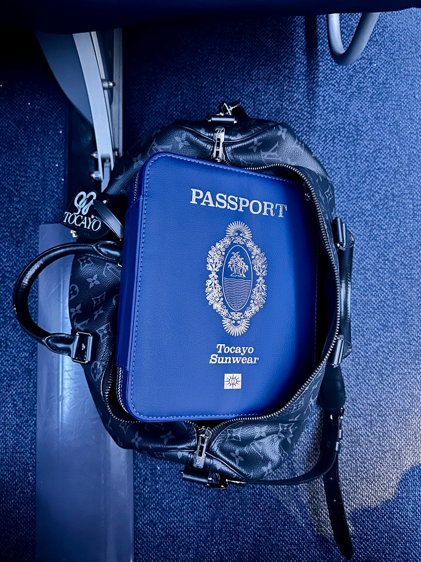 PASSPORT TRAVEL CASE